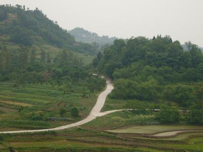 四川合江农村乡村公路图片（组图）