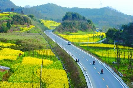 四川合江农村乡村公路图片（组图）