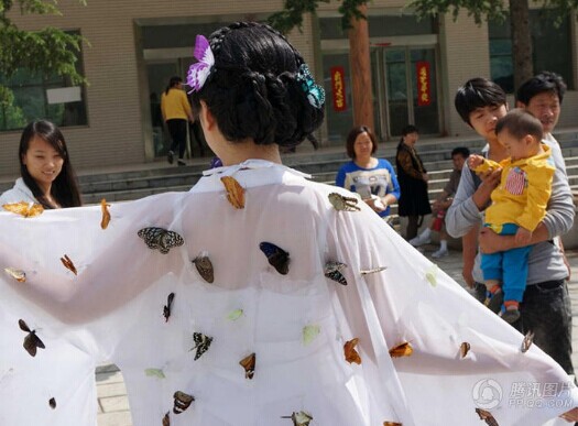 河南南召宝天曼蝴蝶节扎死上百活蝴蝶装饰仙子衣服照片图