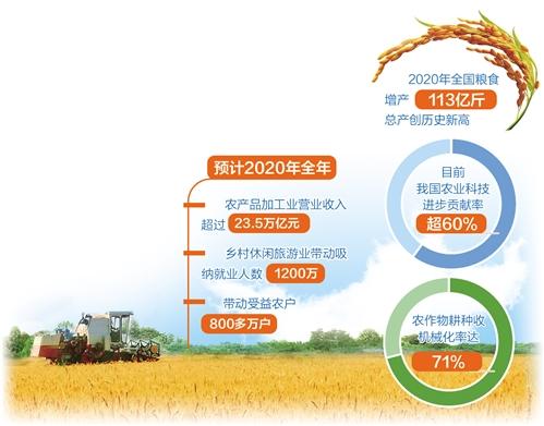 2020年全国粮食增产113亿斤 总产创历史新高