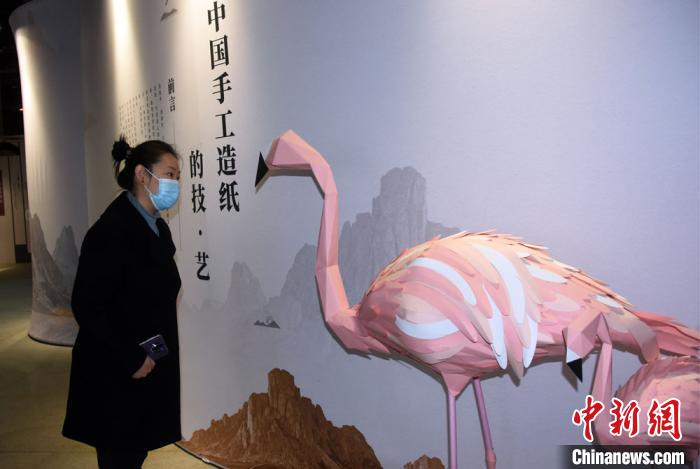 纸从何来将往何处？中国科技馆举办纸主题展